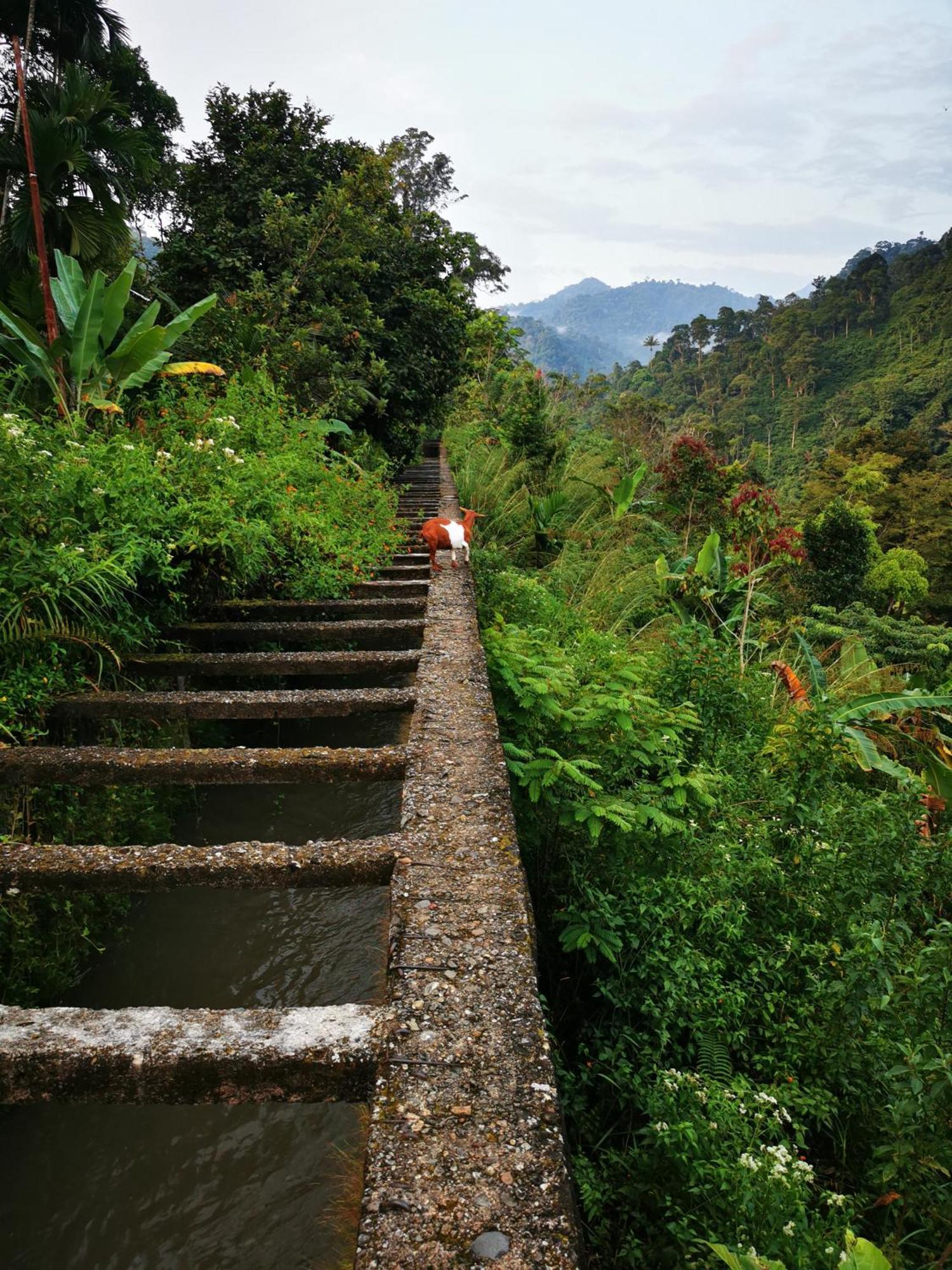 Mila Homestay ปาดัง ภายนอก รูปภาพ