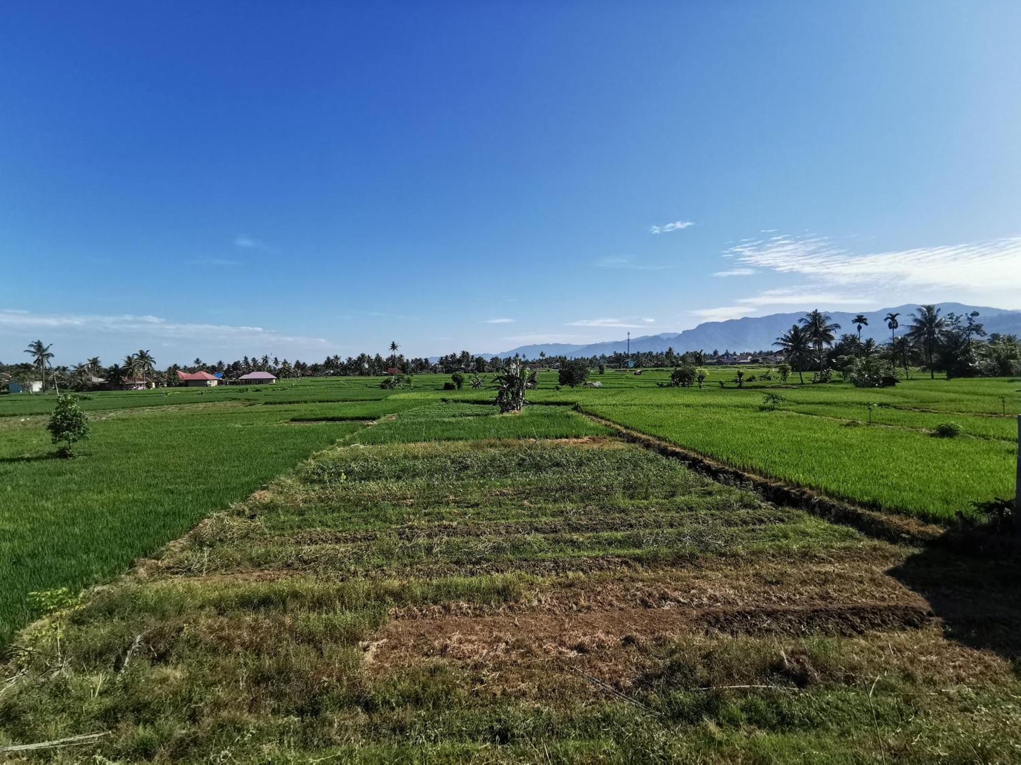 Mila Homestay ปาดัง ภายนอก รูปภาพ